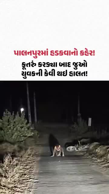 પાલનપુરમાં હડકવાનો કહેર! કૂતરું કરડ્યા બાદ જુઓ યુવકની કેવી થઇ હાલત!