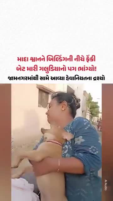  માદા શ્વાનને બિલ્ડિંગની નીચે ફેંકી બેટ મારી ગલુડિયાનો પગ ભાંગ્યો! Jamnagarમાંથી સામે આવ્યા હેવાનિયતના દ્રશ્યો
